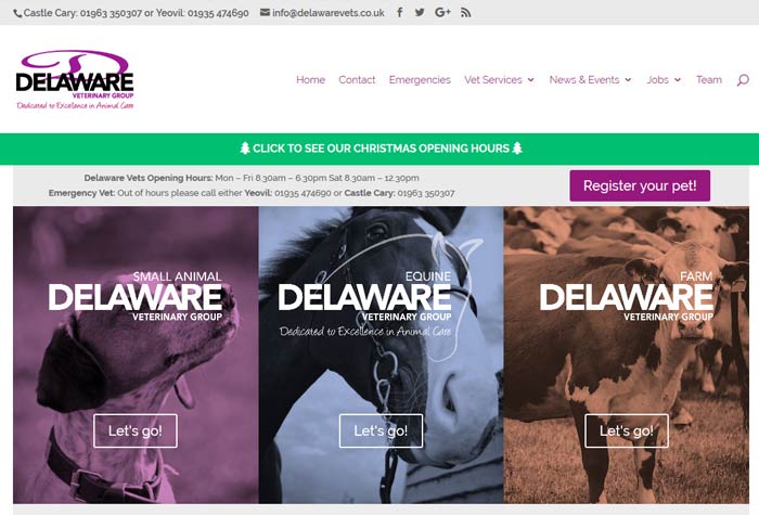 Delaware Veterinary Group