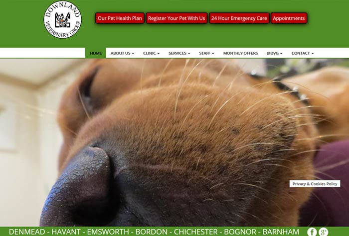 Downland Veterinary Group