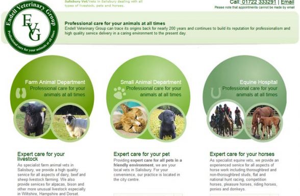 Endell Veterinary Group