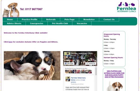 Fernlea Veterinary Clinic
