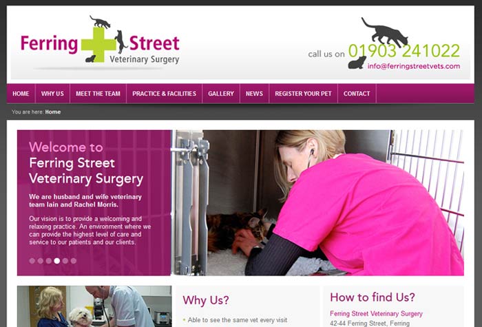 Ferring Street Veterinary Surgery