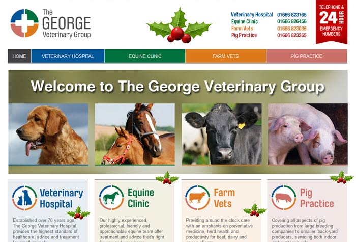George Veterinary Group