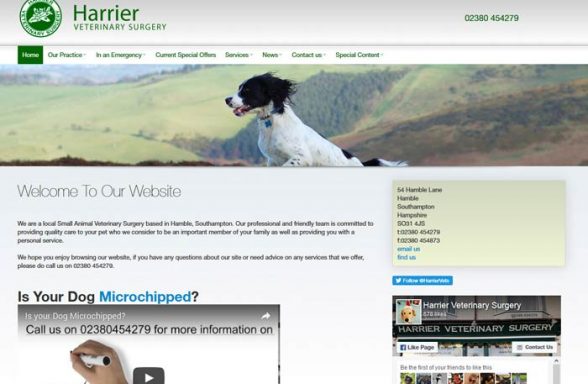 Harrier Veterinary Surgery