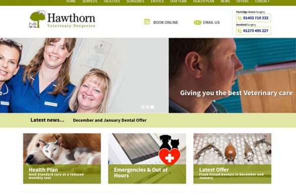 Hawthorn Veterinary Surgery