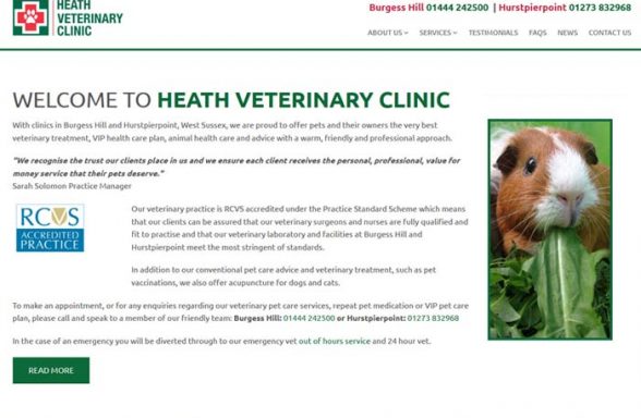 Heath Vets