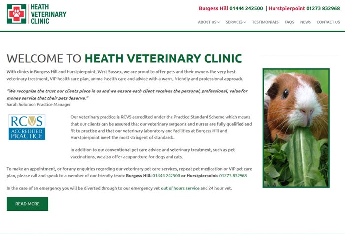 Heath Vets