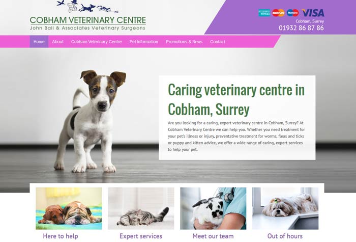 Ditton Reach Veterinary Surgery