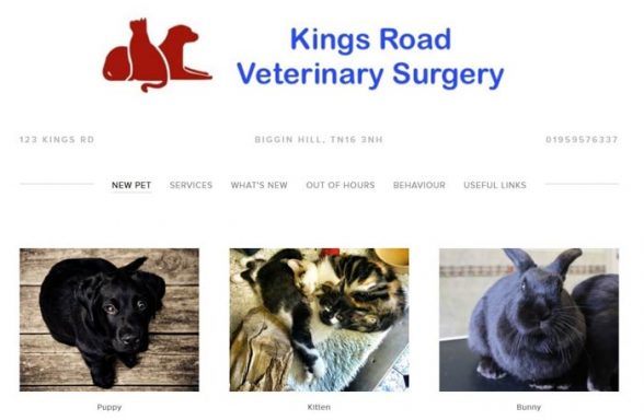 Kings Road Veterinary Surgery