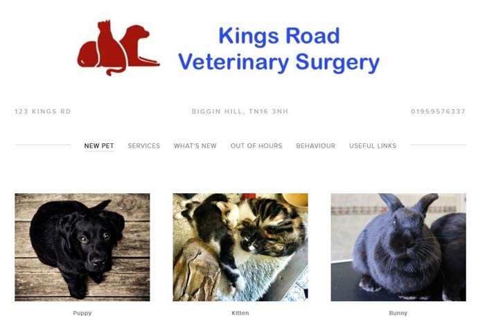 Kings Road Veterinary Surgery