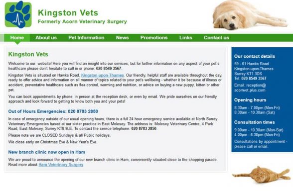 Kingston Vets