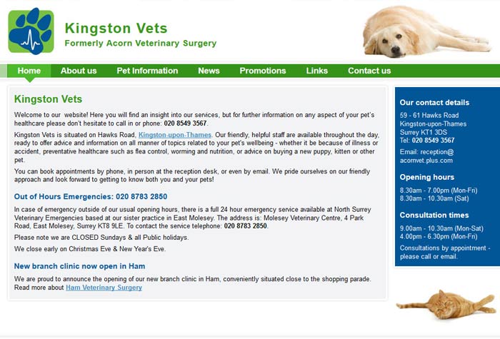 Kingston Vets