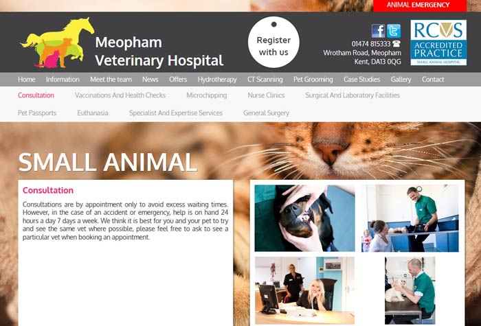 Meopham Veterinary Surgery