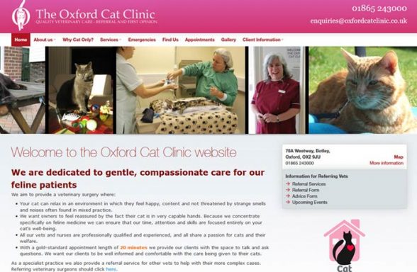 The Oxford Cat Clinic