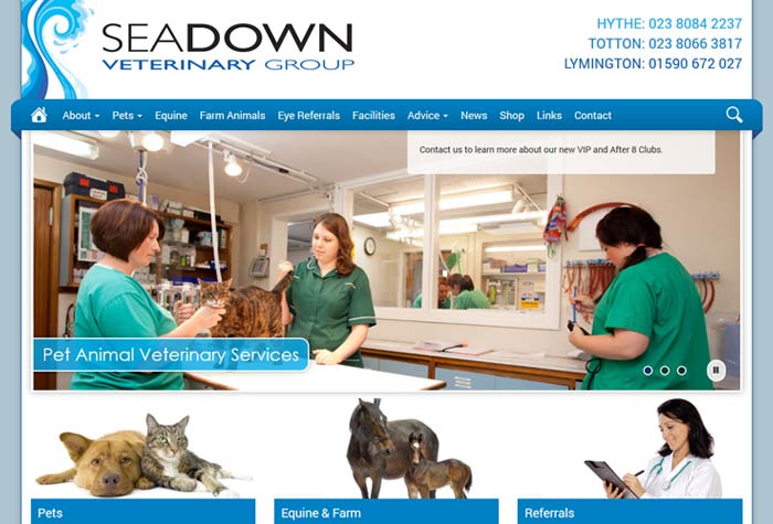 Seadown Veterinary Hospital