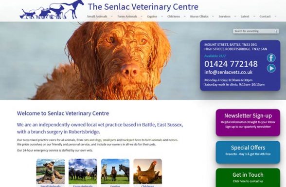 Senlac Veterinary Practice
