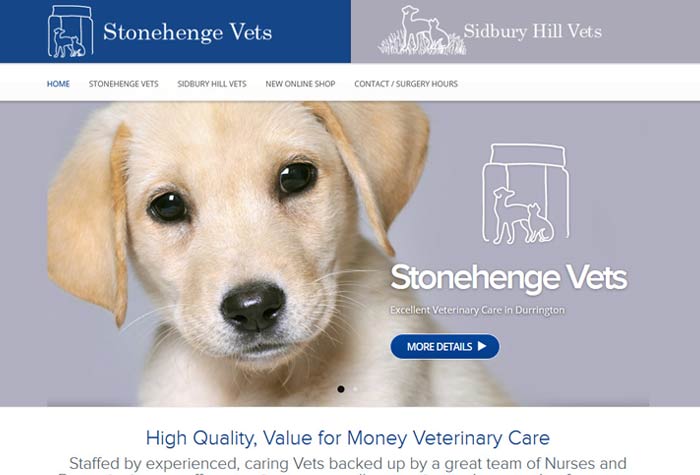 Stonehenge Vets