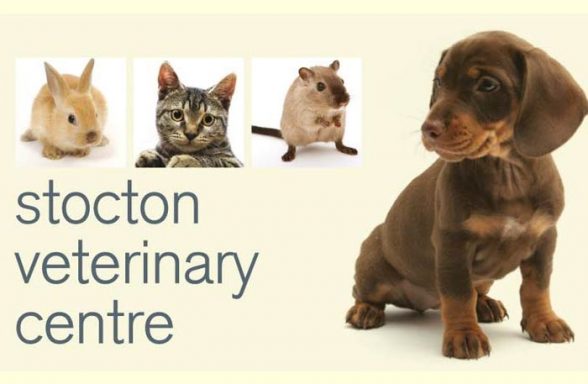 Thornbury Veterinary Centre