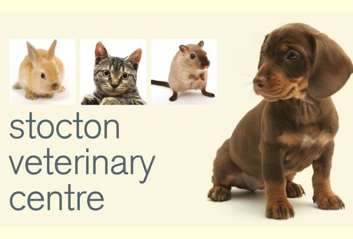 Thornbury Veterinary Centre