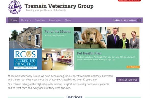 Tremain Veterinary Group