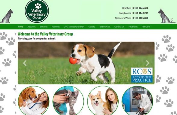 The Valley Veterinary Group