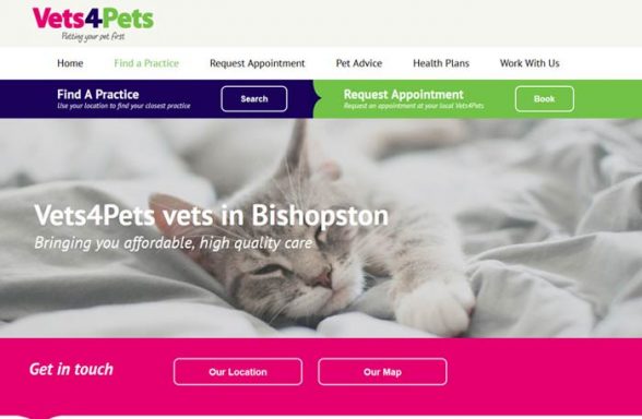 Vets4Pets