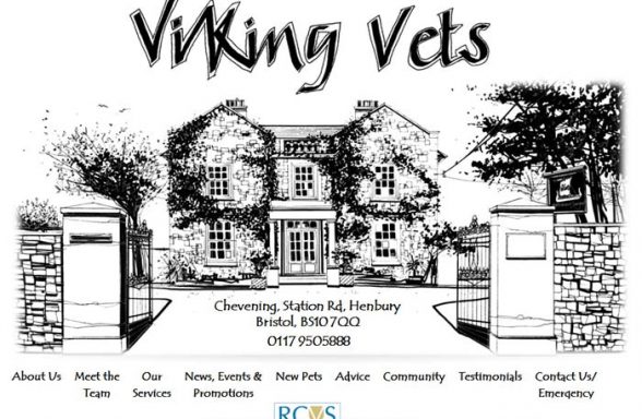 Viking Veterinary Surgeons