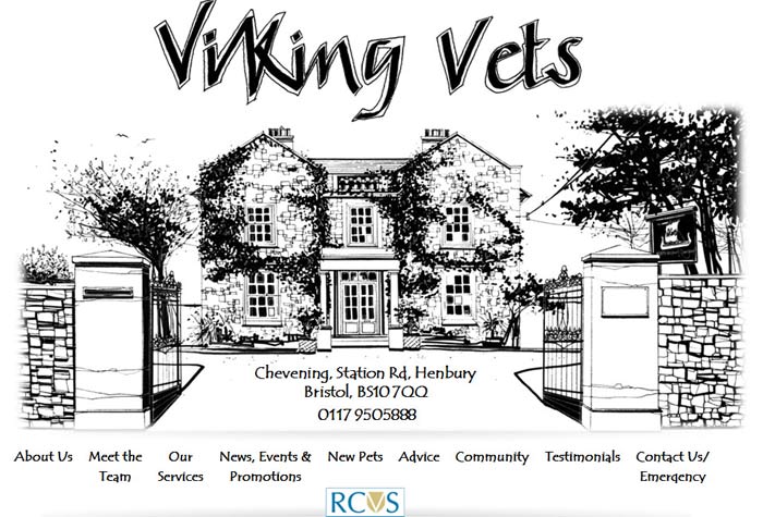 Viking Veterinary Surgeons