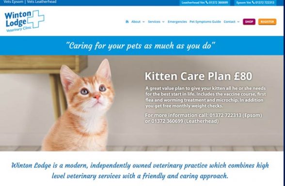 Winton Lodge Veterinary Clinic