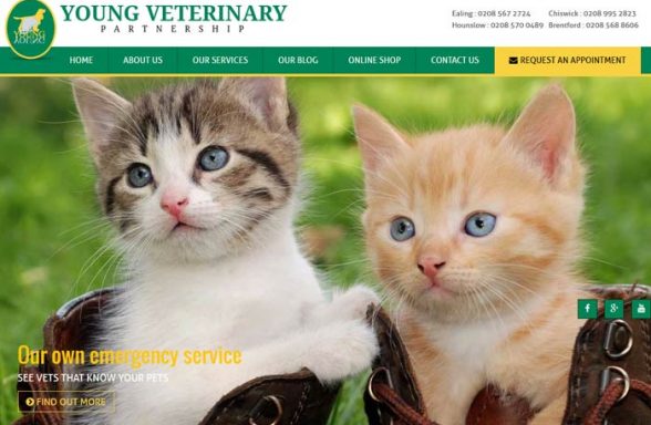 Young Veterinary Partnership