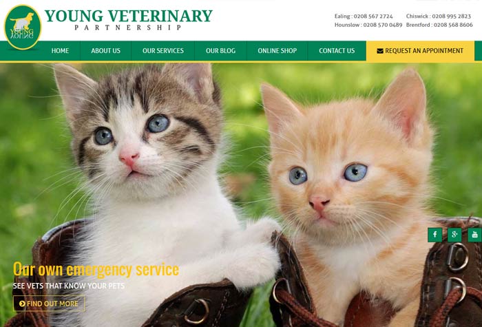 Young Veterinary Partnership