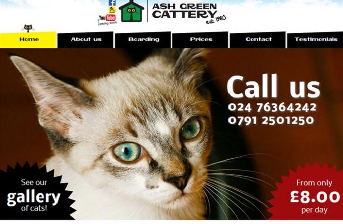 Ash Green Cattery