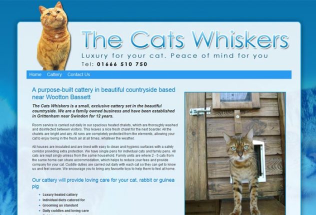 Cat Rescue Westbury Wiltshire Cat Rescue Westbury Wiltshire