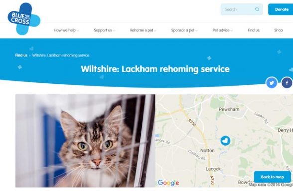 Blue Cross Rehoming Service - Chippenham