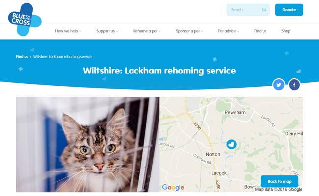 Blue Cross Rehoming Service - Chippenham