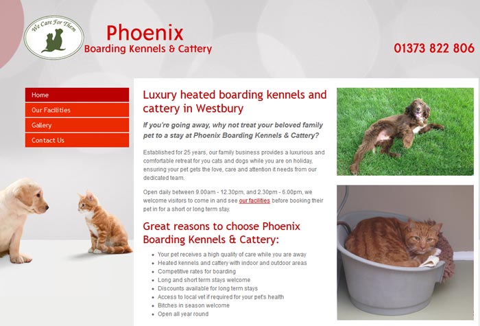 Cat Rescue Westbury Wiltshire Cat Rescue Westbury Wiltshire