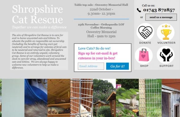 Shropshire Cat Rescue - Shrewsbury