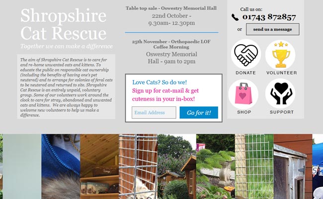 Shropshire Cat Rescue - Shrewsbury