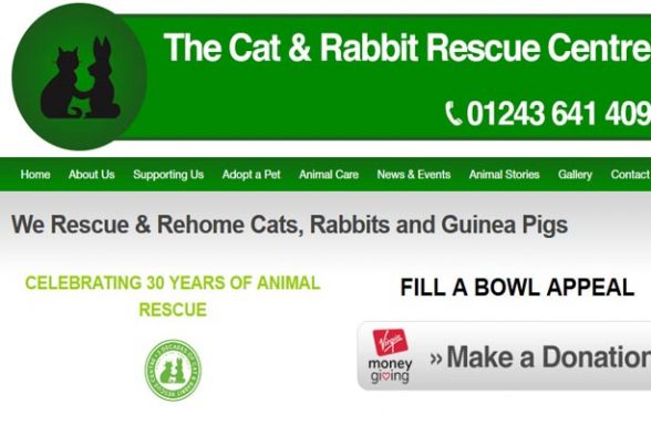 The Cat and Rabbit Rescue Centre - Chichester