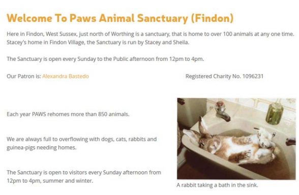Paws Animal Sanctuary - Worthing