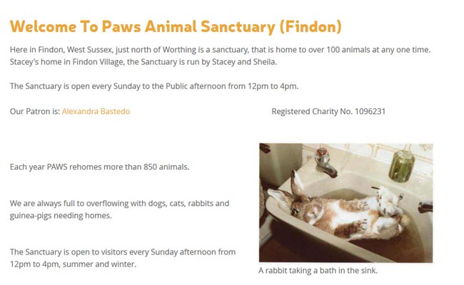 Paws Animal Sanctuary - Worthing