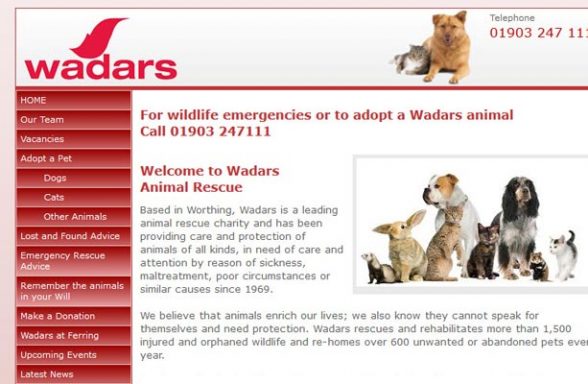 Wadars Animal Rescue - Worthing