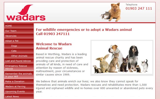 Wadars Animal Rescue - Worthing