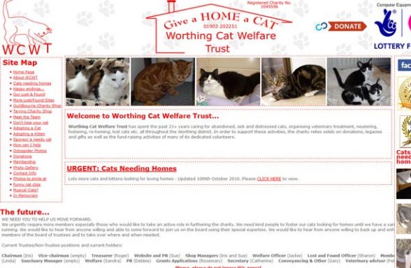 Worthing Cat Welfare Trust - Worthing