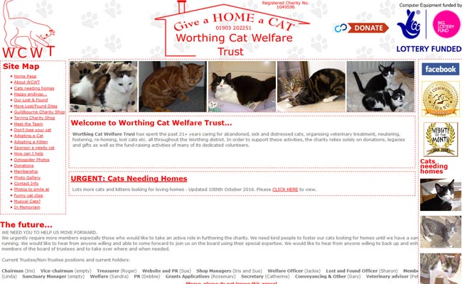 Worthing Cat Welfare Trust - Worthing