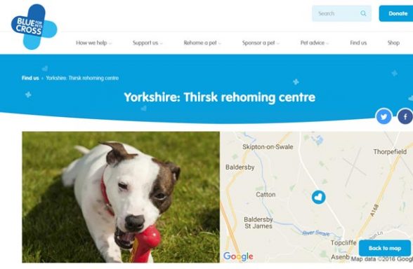 Blue Cross Rehoming Centre - Thirsk