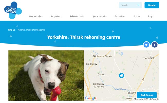 Blue Cross Rehoming Centre - Thirsk