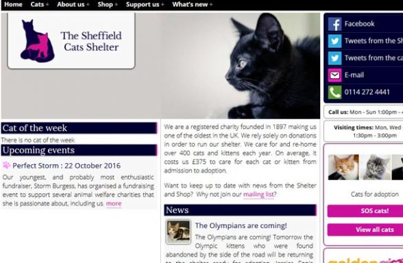 Sheffield Cat Shelter - Sheffield