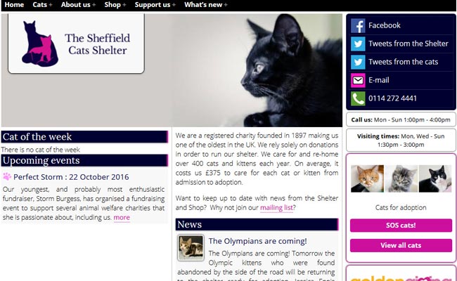 Sheffield Cat Shelter - Sheffield