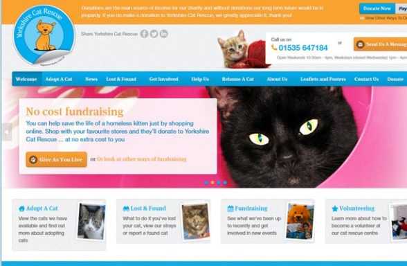 Yorkshire Cat Rescue - Keighley