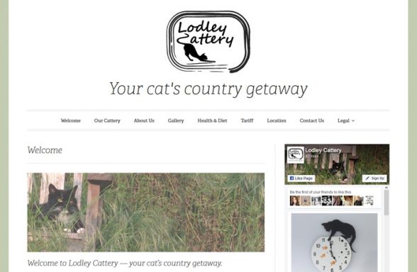 Willows country hot sale cattery